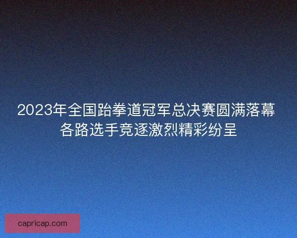 2023年全国跆拳道冠军总决赛圆满落幕 各路选手竞逐激烈精彩纷呈